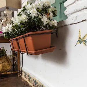 Patio Márquez Bed and breakfast Córdoba